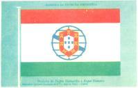 O projeto Delfim Guimarães e Roque Gameiro, para a nova bandeira.